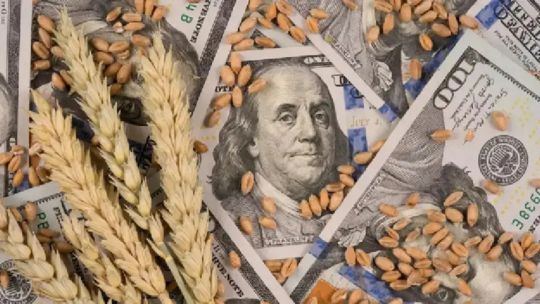 Imagen para el artículo: “No hay plata para la educación y se disminuye la recaudación a uno de los sectores más dinámicos de la economía”