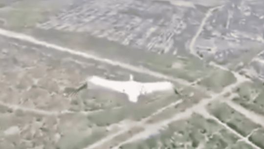 Imagen para el artículo: El video viral de cómo una cigüeña evade al ejército ruso