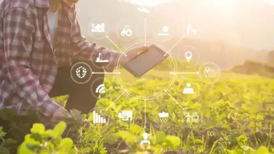 Imagen para el artículo: Falta de tecnología en el agro: “Es un sector que viene bastante retrasado en todo lo que es digitalización”