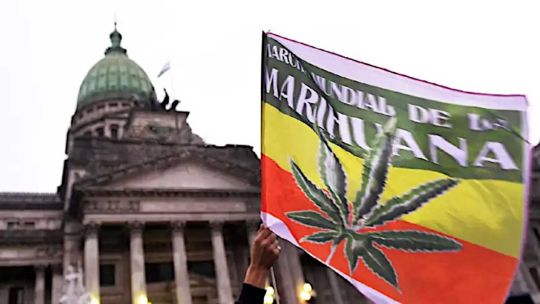 Imagen para el artículo: Venta libre, autocultivo y borrón penal: la Izquierda presentó un proyecto para legalizar la marihuana al 100%