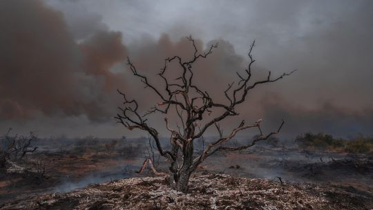 Imagen para el artículo: Un informe concluyó que los incendios patagónicos del verano fueron los peores en seis décadas