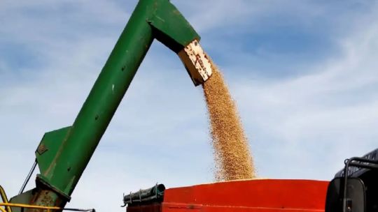 Imagen para el artículo: “Este año está proyectado una exportación récord”, afirmó un ex secretario de Agricultura sobre la liquidación del agro
