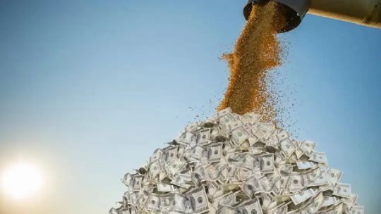 Imagen para el artículo: Alerta en el mercado agrícola ante la caída de las cotizaciones internacionales de la soja, el maíz y el trigo