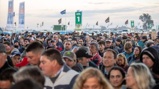 Imagen para el artículo: AgroActiva 2026: una multitud, más de 1.100 empresas y batería de créditos a baja tasa para el campo