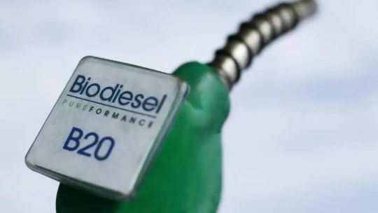 Imagen para el artículo: Axel Boerr sobre la nueva ley de biocombustible: “Tienen tratamientos muy asimétricos para el bioetanol respecto del biodiesel”