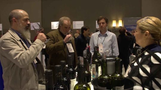 Imagen para el artículo: Salituro Wines debutó en la Expo Vinos & Negocios y conquistó al sector con su Ancellotta de autor