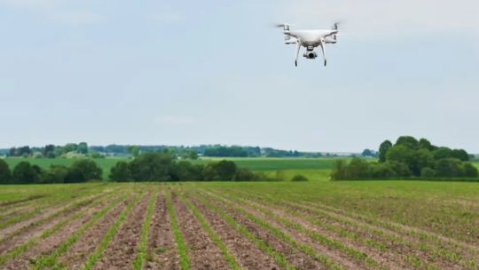 Imagen para el artículo: Drones pulverizadores en el agro: se reclama reglas claras para garantizar la seguridad de las aplicaciones