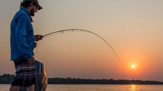 Imagen para el artículo: Tras la dispersión de los cardúmenes de surubí, Corrientes levantó la veda extraordinaria en el Paraná