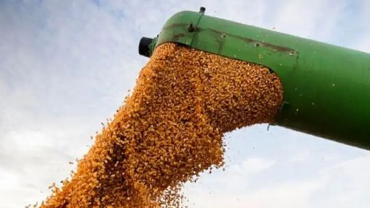Imagen para el artículo: El Gobierno confirmó la baja de las retenciones: “Lo importante es la señal de seguir bajando impuestos al agro”