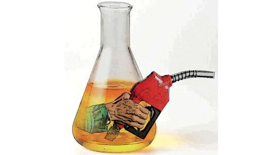 Imagen para el artículo: Biodiésel: la Argentina tiene capacidad para liderar un negocio que sigue trabado