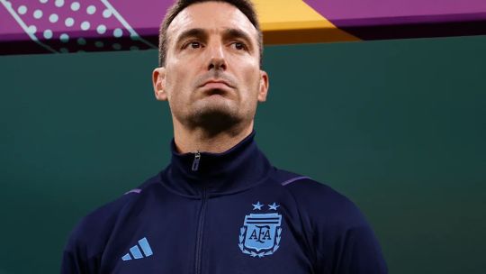 Imagen para el artículo: Qué es el hérpes zóster o "culebrilla", la enfermedad que sufrió Scaloni tras el Mundial de Qatar