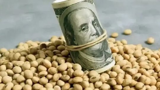 Imagen para el artículo: Generación de dólares para Argentina: “El agro va a ir perdiendo peso relativo como generador de divisas”
