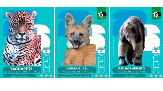 Imagen para el artículo: La ONG Vida Silvestre lanza un álbum y figuritas de animales en peligro de extinción para coleccionar y aprender