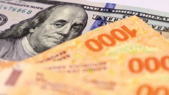 Imagen para el artículo: Carolina Manucci advirtió sobre el modelo económico: "Estabilizar no es lo mismo que desarrollar la economía"