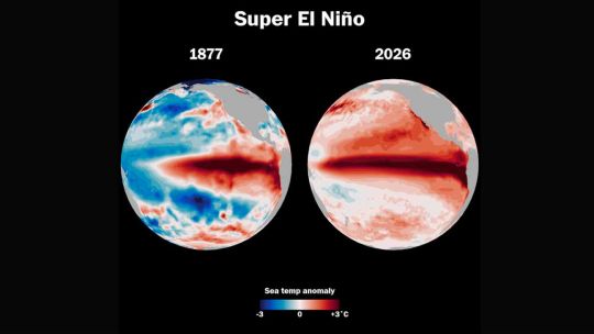 Imagen para el artículo: Calor anómalo y lluvias: qué puede provocar la llegada de El Niño en la Argentina