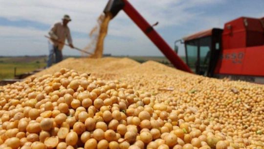 Imagen para el artículo: Comercialización de soja: "Hoy el productor está con el 80% de su soja sin fijar precio"