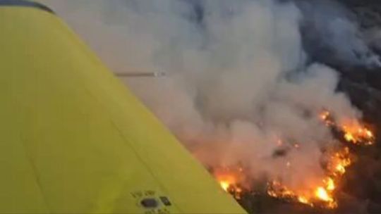 Imagen para el artículo: Salta: el incendio en Cafayate ya arrasó 200 hectáreas y llevará semanas contenerlo