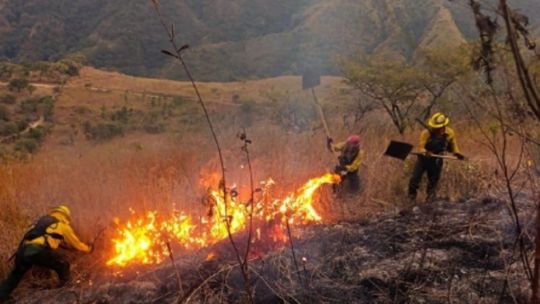 Imagen para el artículo: Salta: otorgaron prisión domiciliaria al acusado de provocar los incendios en Cafayate