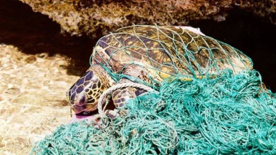 Imagen para el artículo: La Gran Mancha de Basura del Pacífico: el océano de plástico que crece sin freno y amenaza al planeta
