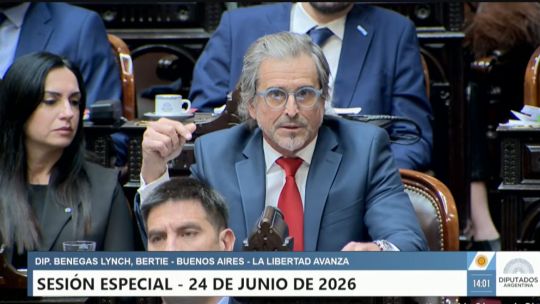 Imagen para el artículo: Súper RIGI: cuáles son las claves del proyecto que tuvo media sanción en Diputados