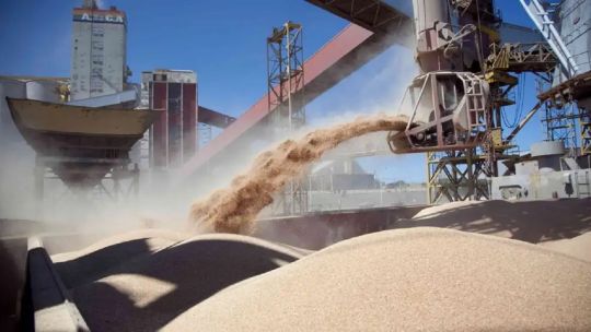 Imagen para el artículo: Harina de soja: “Los valores de Argentina son importantes y están en el top en relación a otros países competitivos”