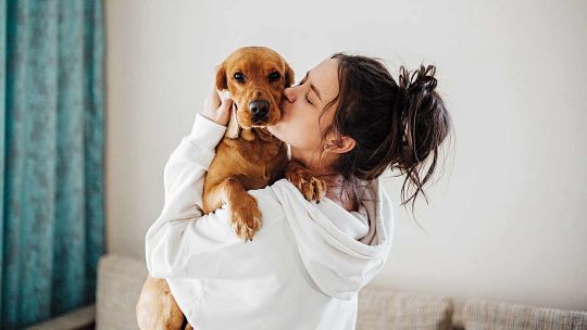 Imagen para el artículo: 8 de cada 10 argentinos tienen una mascota y casi todos la consideran "integrante” de la familia