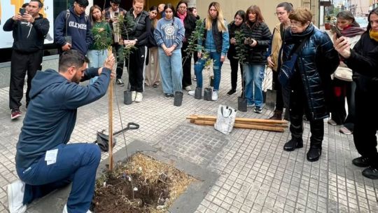 Imagen para el artículo: “Reservas con propósito”: la iniciativa de Azur hotel para reforestar el centro