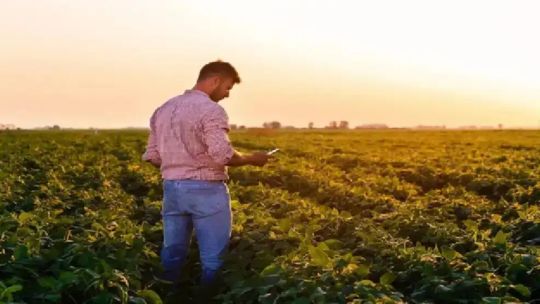 Imagen para el artículo: Por qué hoy “el productor argentino tiene oportunidades en el mercado para aprovechar”