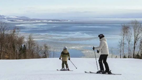 Imagen para el artículo: Preocupación en las escuelas de esquí ante la falta de nieve: "La montaña se está trabajando al 30%"
