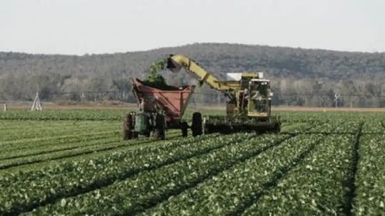 Imagen para el artículo: Escenario favorable para el agro: "Hay una ola de inversiones que están llegando al sector”
