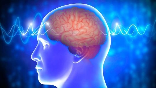 Imagen para el artículo: Día Mundial del Cerebro: Cómo cuidarse en el invierno para prevenir el deterioro cognitivo