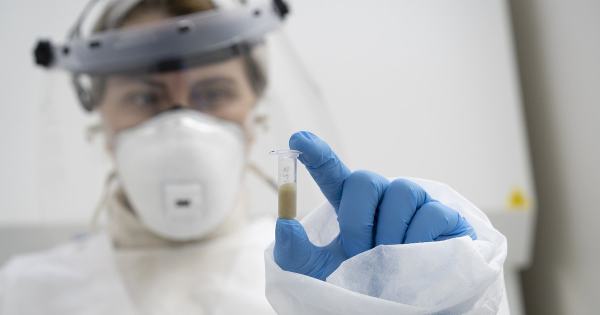 Imagen para el artículo: Crecen los casos de hepatitis A en el país y encontraron otro virus poco conocido en las aguas residuales de la Ciudad y el Conurbano