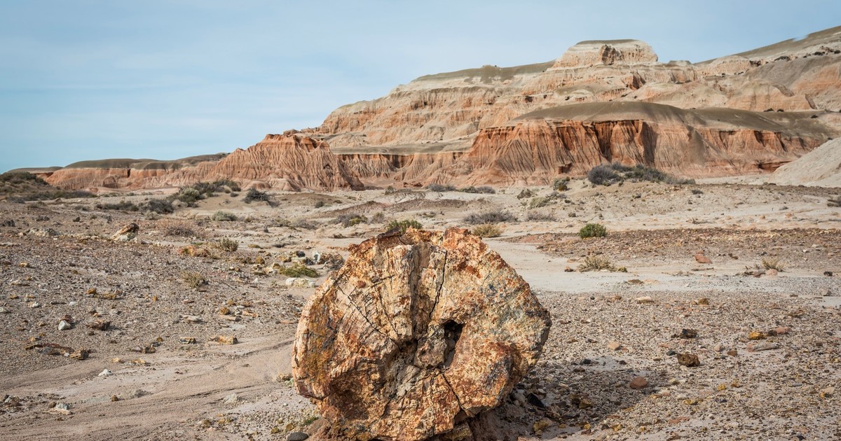 Imagen para el artículo: Científicos no dan crédito: abren un meteorito proveniente de Marte y se encuentran con una sorpresa