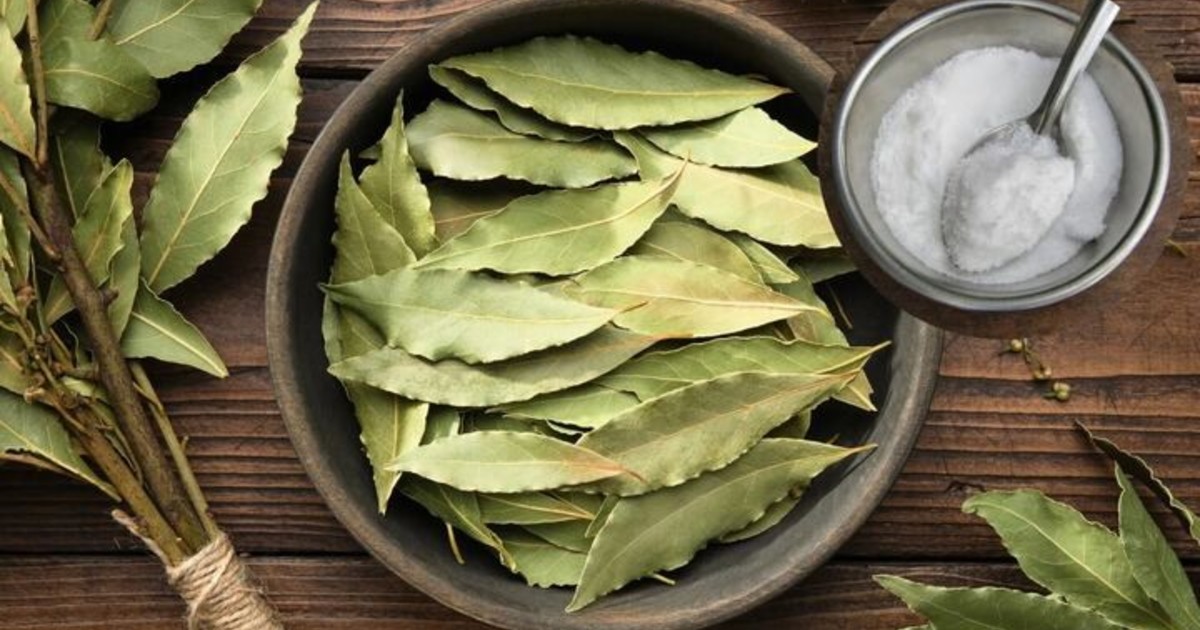Imagen para el artículo: Para qué sirve mezclar hojas de laurel con bicarbonato de sodio y en qué casos recomiendan hacerlo