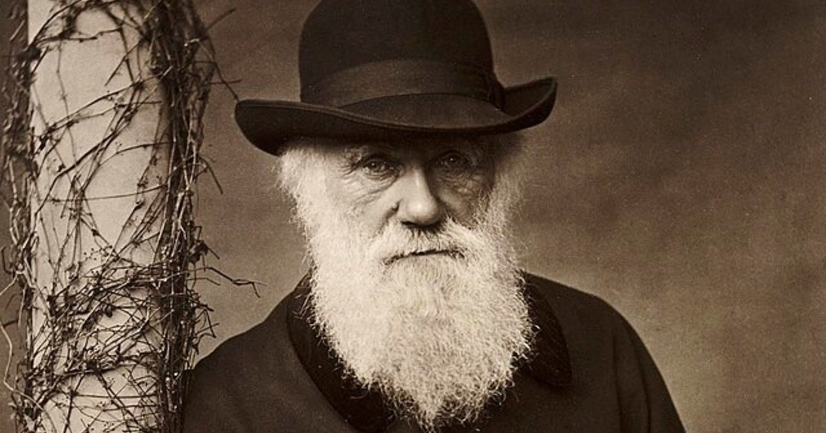 Imagen para el artículo: Charles Darwin: "No es la especie más fuerte la que sobrevive, ni la más inteligente, sino la que mejor se adapta al cambio"