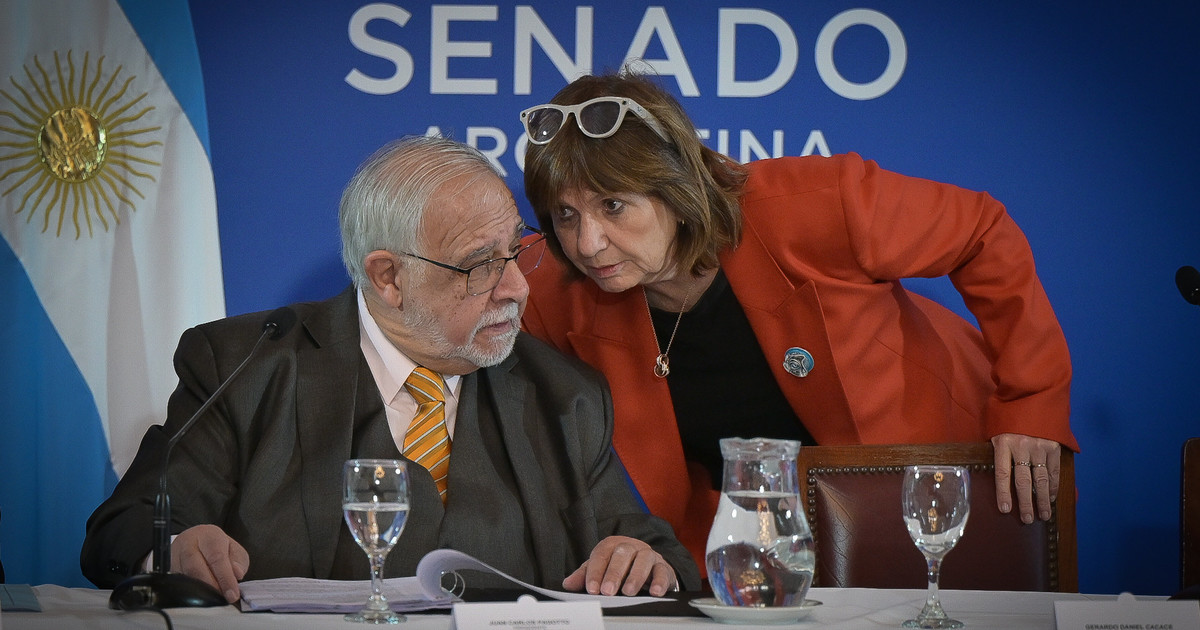 Imagen para el artículo: Tras la aprobación del pliego de Michelli, el Senado abre otro foco de conflicto con los pliegos judiciales