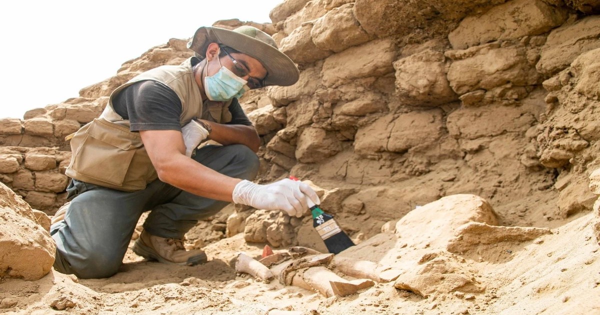 Imagen para el artículo: Conmoción entre los arqueólogos: desentierran una figura de madera prehispánica en perfecto estado