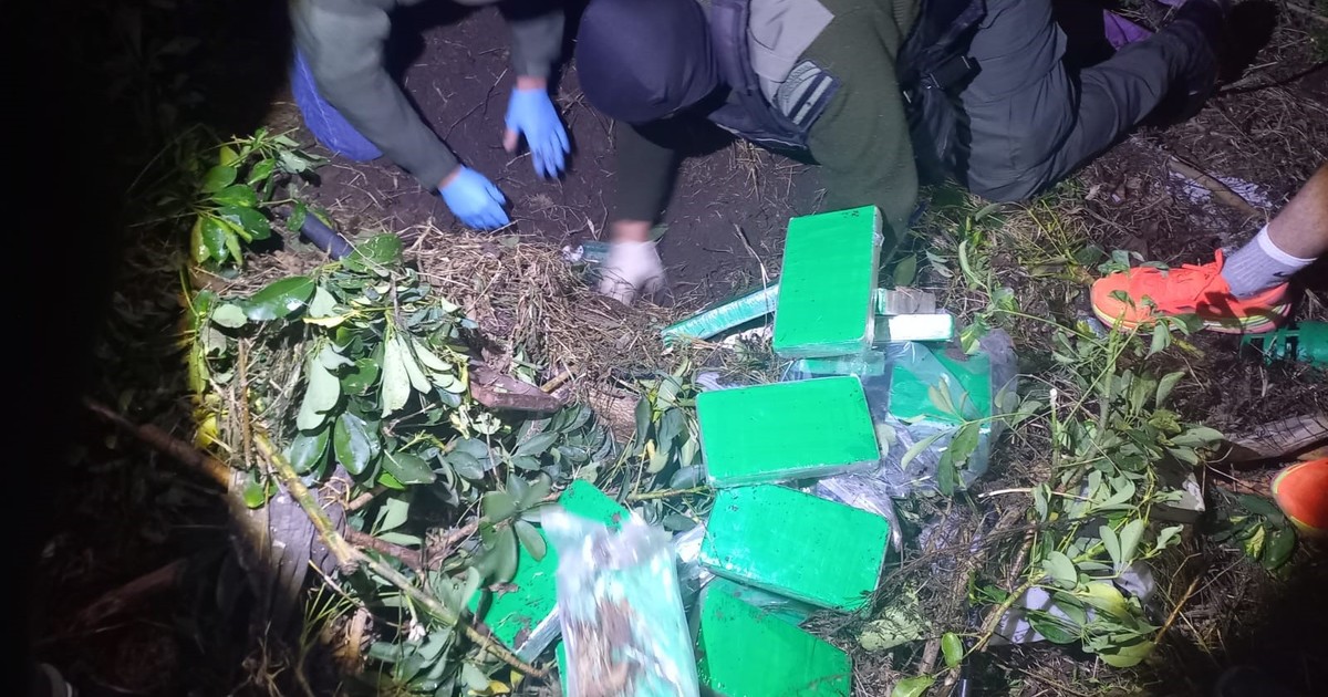 Imagen para el artículo: El agudo olfato de Gretel: la perra labradora que encontró la pista de 58 kilos de cocaína enterrados en un jardín