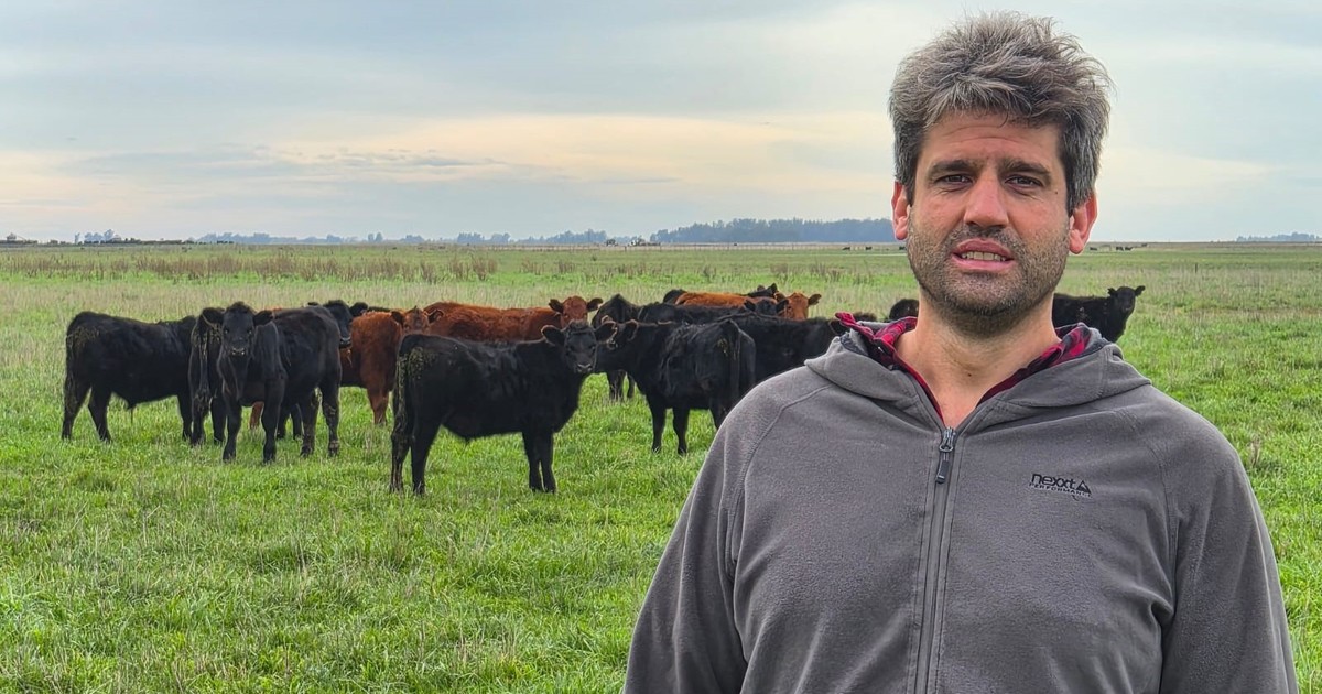 Imagen para el artículo: Negocio premium: los secretos de una empresa familiar que produce más de 1.000 novillos pesados por año para exportar carne a la Unión Europea