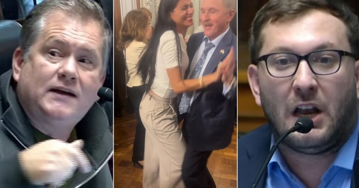 Imagen para el artículo: “Facho tu hermana, decímelo en la cara”, el insólito momento en la Legislatura porteña por las críticas a una libertaria que bailó con el embajador de EE.UU.