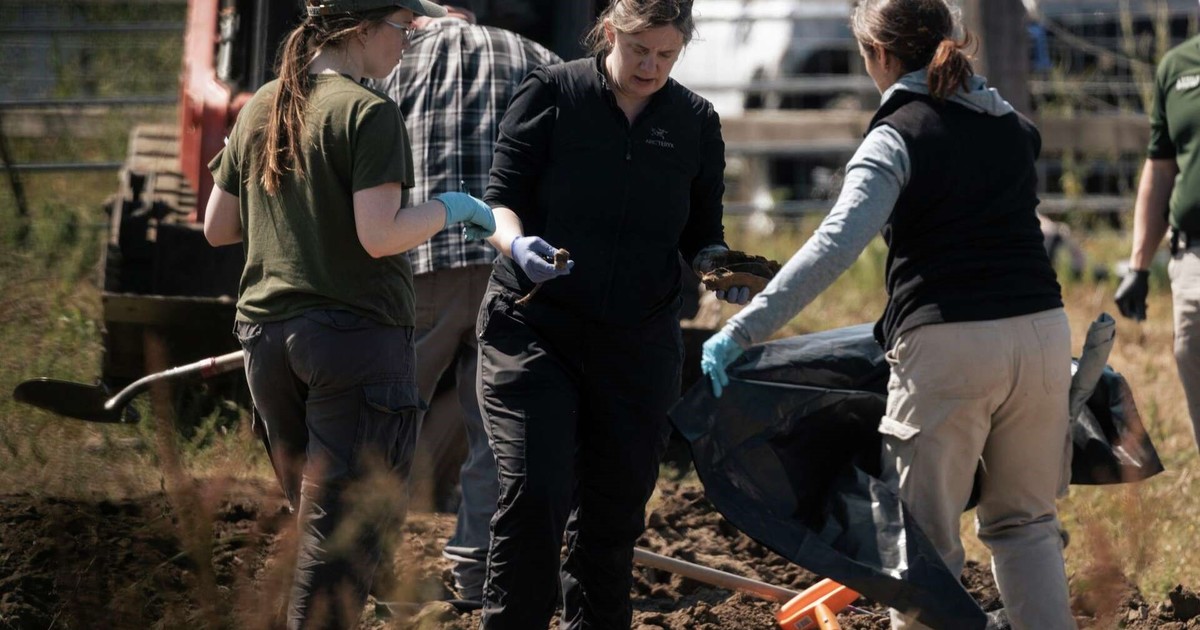 Imagen para el artículo: Macabro hallazgo en California: encuentran los cuerpos de 117 perros, muchos con agujeros de bala, en un santuario "sin sacrificio" en la localidad de Fortuna