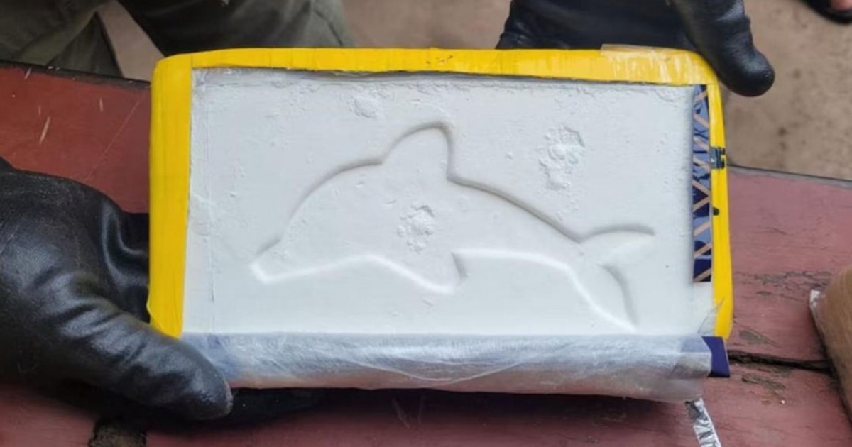 Imagen para el artículo: Mostaza blanca: detuvieron a dos mujeres con más de 20 kilos de cocaína con el famoso sello del delfín y envueltos con aderezo