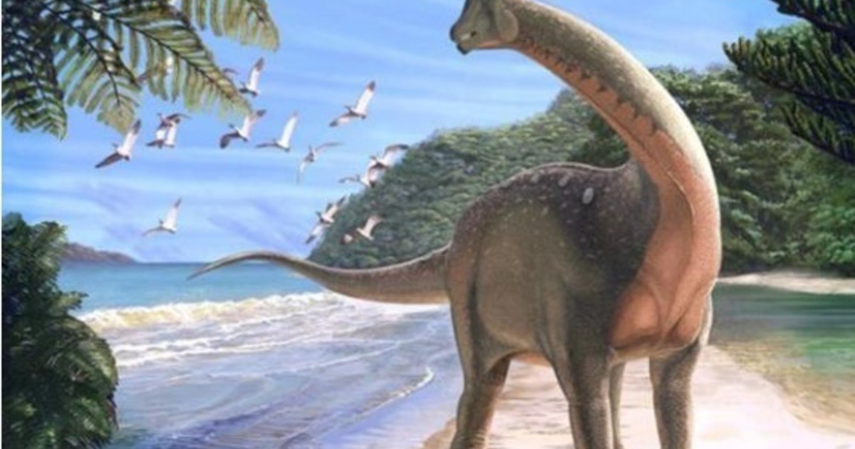 Imagen para el artículo: Encontraron perdido en un cajón el primer hueso de dinosaurio de la Antártida