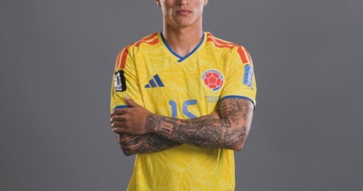 Imagen para el artículo: El doloroso momento de Portilla con Colombia en medio del Mundial